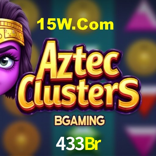 Interface Premium 433Br