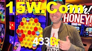 Premium Interface 433Br